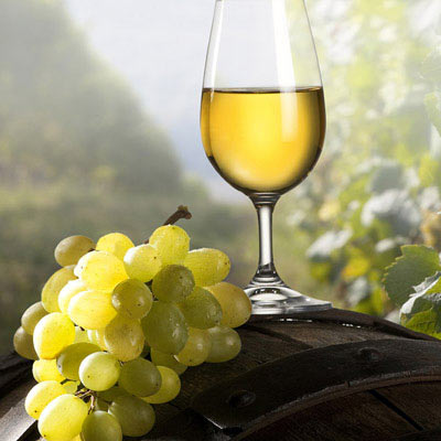 在线DDOS攻击平台