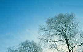 平台在线ddos压力测试