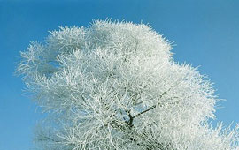 DDOS压力测试网页端